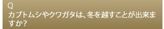 Q カブトムシやクワガタは、冬を越すことが出来ますか？