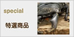special 特選商品
